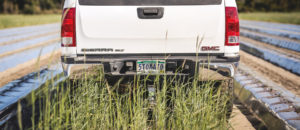 A Seaside Grown Work Truck